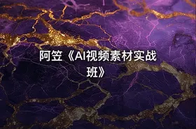 阿笠《AI视频素材实战班》
