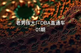 老男孩大厂DBA直通车01期 - getfromcode