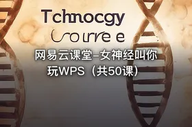 网易云课堂-女神经叫你玩WPS（共50课） - getfromcode