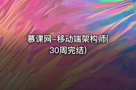 慕课网-移动端架构师(30周完结)