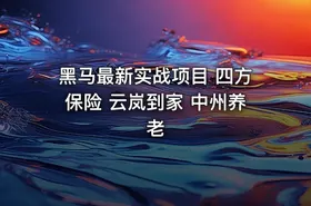 黑马最新实战项目 四方保险 云岚到家 中州养老