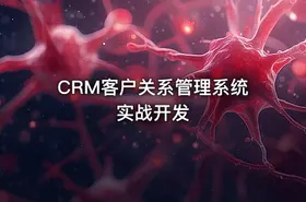 CRM客户关系管理系统实战开发