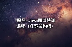 黑马-Java面试特训课程（狂野架构师）