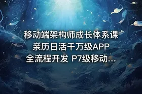 移动端架构师成长体系课 亲历日活千万级APP全流程开发 P7级移动端架构师