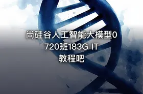 尚硅谷人工智能大模型0720班183G IT教程吧 - getfromcode