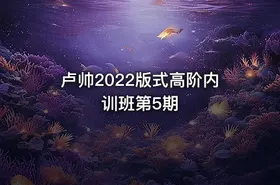 卢帅2022版式高阶内训班第5期