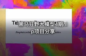 黑马狂野大模型4期nlp项目分享 - getfromcode