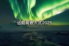 远航哥嵌入式2025