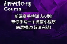 前端高手特训 从0到1带你手写一个微信小程序底层框架(超清完结)