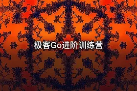 极客Go进阶训练营