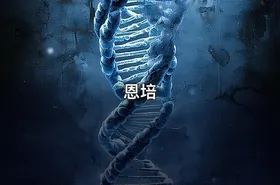 恩培