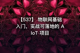 【537】 物联网基础入门，实战可落地的 AIoT 项目
