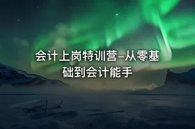 会计上岗特训营-从零基础到会计能手