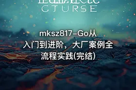 mksz817-Go从入门到进阶，大厂案例全流程实践(完结) - getfromcode