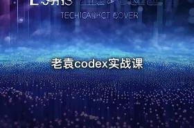 老袁codex实战课