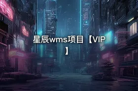 星辰wms项目【VIP】