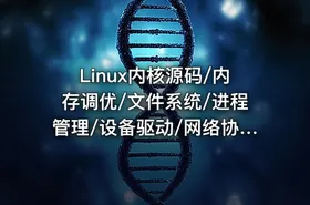 Linux内核源码/内存调优/文件系统/进程管理/设备驱动/网络协议栈 3980元|零声