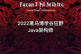 2022黑马博学谷狂野Java架构师