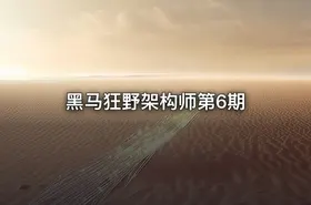 黑马狂野架构师第6期 - getfromcode