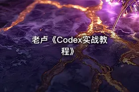 老卢《Codex实战教程》 - getfromcode
