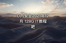 D内安全2021年12月 128G IT教程吧
