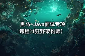 黑马-Java面试专项课程（狂野架构师）