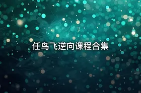 任鸟飞逆向课程合集