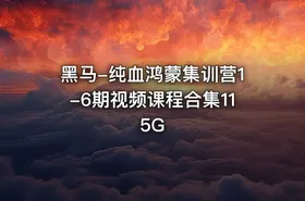 黑马-纯血鸿蒙集训营1-6期视频课程合集115G