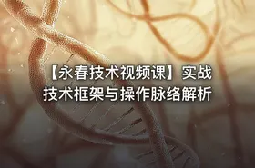 【永春技术视频课】实战技术框架与操作脉络解析