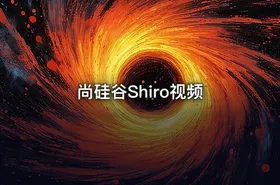 尚硅谷Shiro视频 - getfromcode