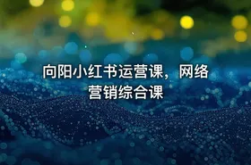 向阳小红书运营课，网络营销综合课