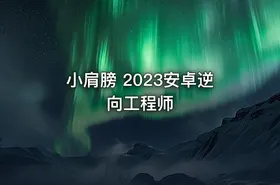小肩膀 2023安卓逆向工程师