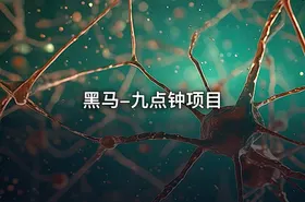 黑马-九点钟项目
