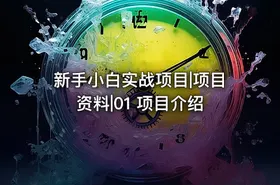 新手小白实战项目|项目资料|01 项目介绍 - getfromcode