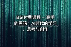 B站付费课程 - 高手的黑箱：AI时代的学习、思考与创作