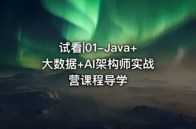 试看|01-Java+大数据+AI架构师实战营课程导学 - getfromcode