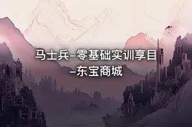 马士兵-零基础实训享目-东宝商城 - getfromcode