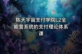 陈天宇宙支付学院L2全能营系统的支付理论体系课 - getfromcode