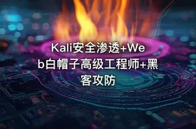 Kali安全渗透+Web白帽子高级工程师+黑客攻防