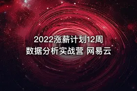 2022涨薪计划12周数据分析实战营 网易云