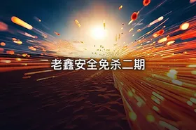 老鑫安全免杀二期