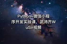 Python+微信小程序开发实战课，武沛齐WuSir视频