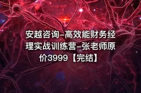 安越咨询-高效能财务经理实战训练营-张老师原价3999【完结】