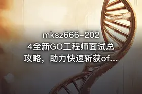 mksz666-2024全新GO工程师面试总攻略，助力快速斩获offer（21章完结）