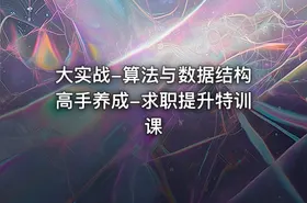 大实战-算法与数据结构高手养成-求职提升特训课 - getfromcode