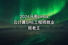2024马哥Linux云计算SRE工程师就业班老王