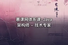 慕课网体系课-Java架构师 - 技术专家