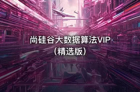 尚硅谷大数据算法VIP（精选版）