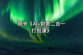 师爷《AI+财务二合一打包课》