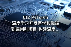 612 PyTorch深度学习开发医学影像端到端判别项目 构建深度学习模型 更新中